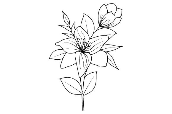 Black White Flower Graphics and Illustrations Review