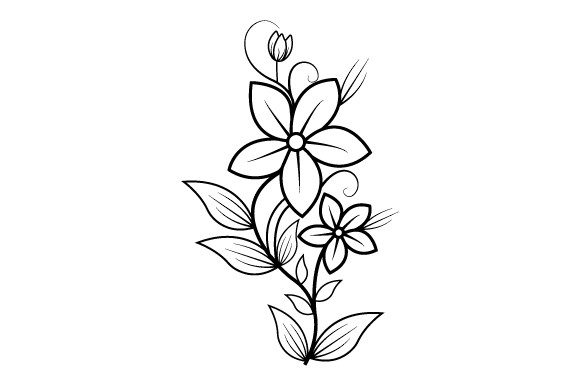 Black White Jasmine Flower Graphics and Illustrations Review