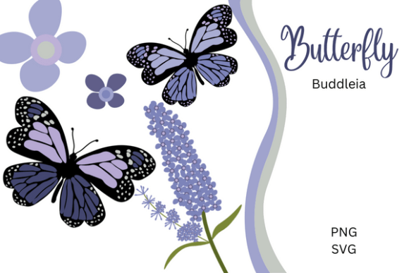 Butterfly and Buddleia: A Fresh Graphic Design Asset for Modern Illustrations