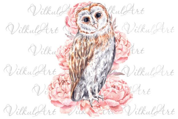 Cute Bird Watercolor Clipart Owl Png for Graphics & Illustrations