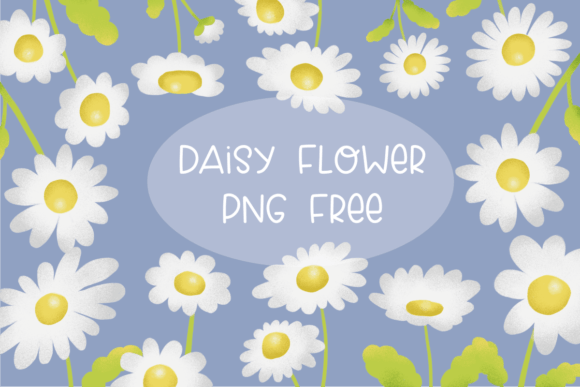 Daisy Flower PNG Free: A Practical Graphics Review for Sellers