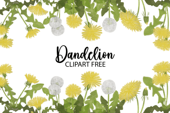 Dandelion Clipart Free for Graphics and Freebies