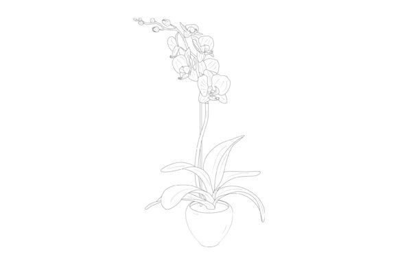 Flower and Leaves Vector Illustration: Graphics Freebies Review