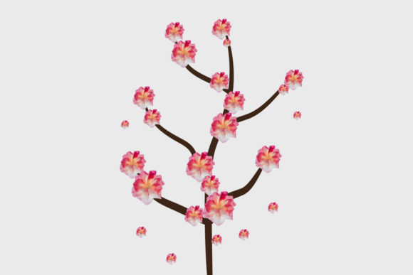 Japanese Sakura Cherry Blossom Tree Review