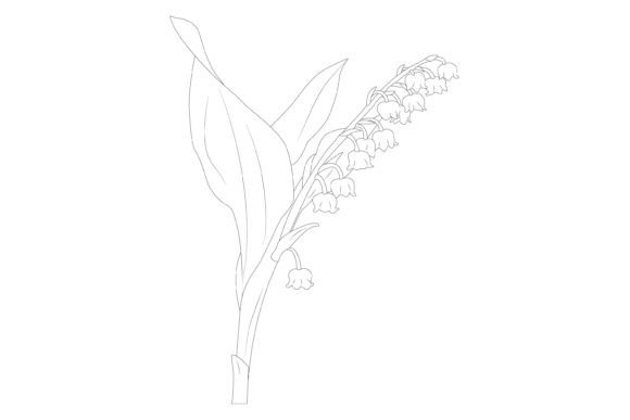 Lily of Valley Vector Illustration for Graphics and Freebies