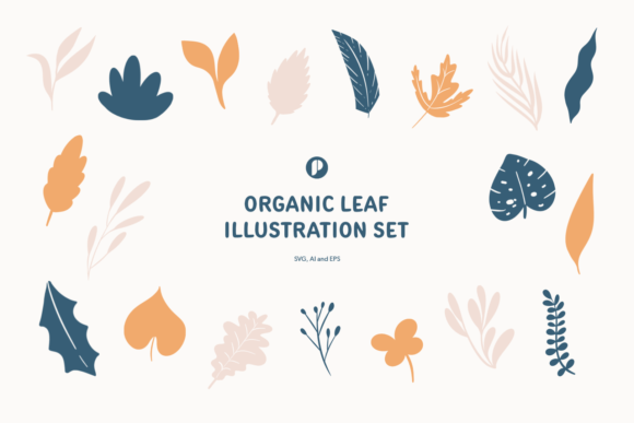 Lovely Organic Leaf Illustration Set for Graphics