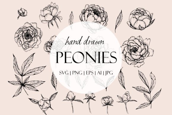 Peonies Line Art SVG for Modern Graphics and Illustrations