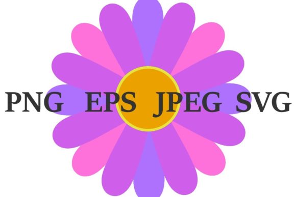 Pink Purple Blue Yellow Flower PNG Graphics and Illustrations Review