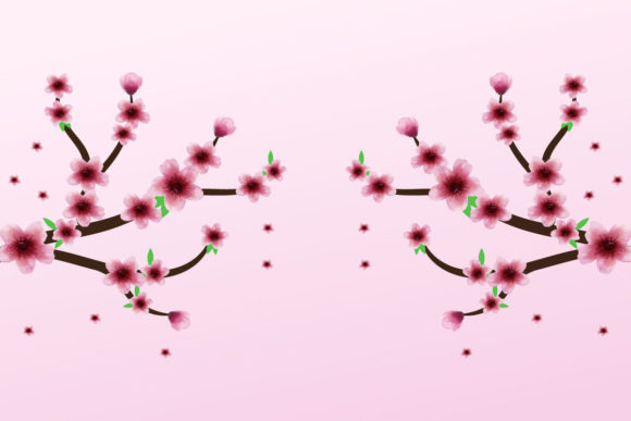 Pink Watercolor Cherry Blossom Painting Graphics & Illustrations Review