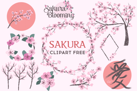 Sakura Clipart Free: A Designer's Review of Spring Graphics