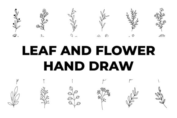 Set Leaf and Flower Outline Drawing Review