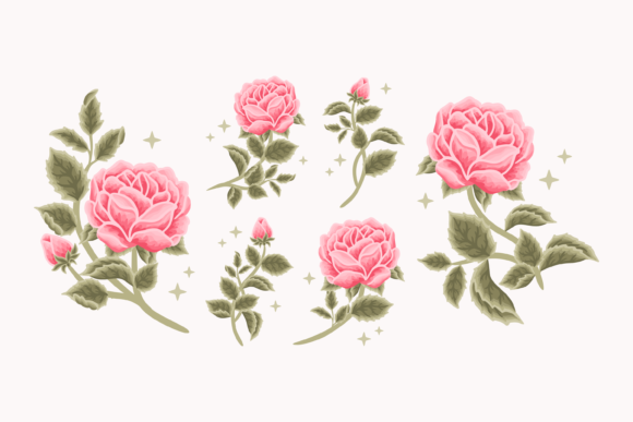 Vintage Pink Spring Rose Flower Elements Graphics and Illustrations