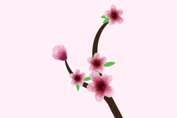 Watercolor Japanese Cherry Blossom Art for Graphics and Illustrations